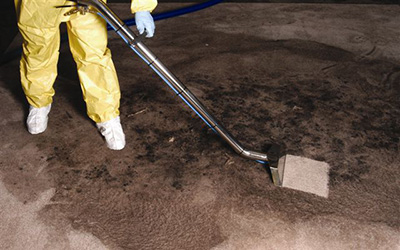 Power Dry Carpet